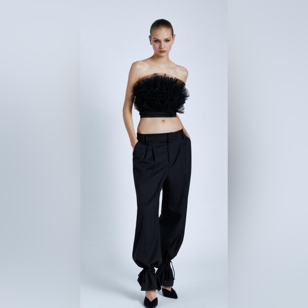 NWT Tulle Zara top